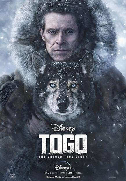 Phim Chú chó Togo
